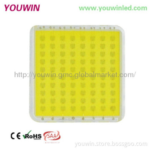 80W High Bay LED Emergency Lights with COB Brigdelux Chip